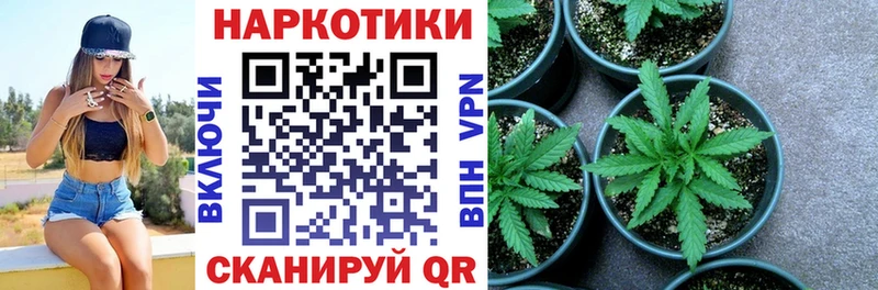 ГАШИШ Светлый