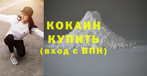 стаф Балахна