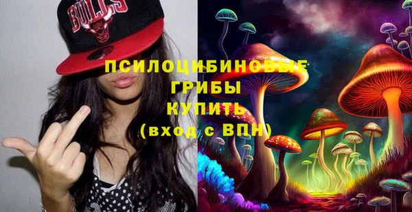 стаф Балахна
