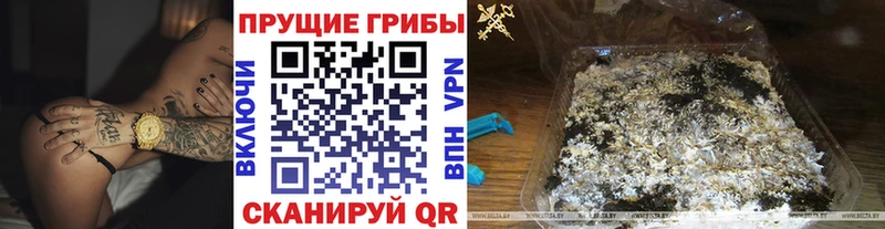 Псилоцибиновые грибы мицелий  Купить закладки  Светлый 