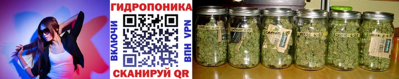 Каннабис SATIVA & INDICA  Купить где  Светлый 